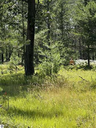 10 Acres of Residential Land for Sale in National City, Michigan