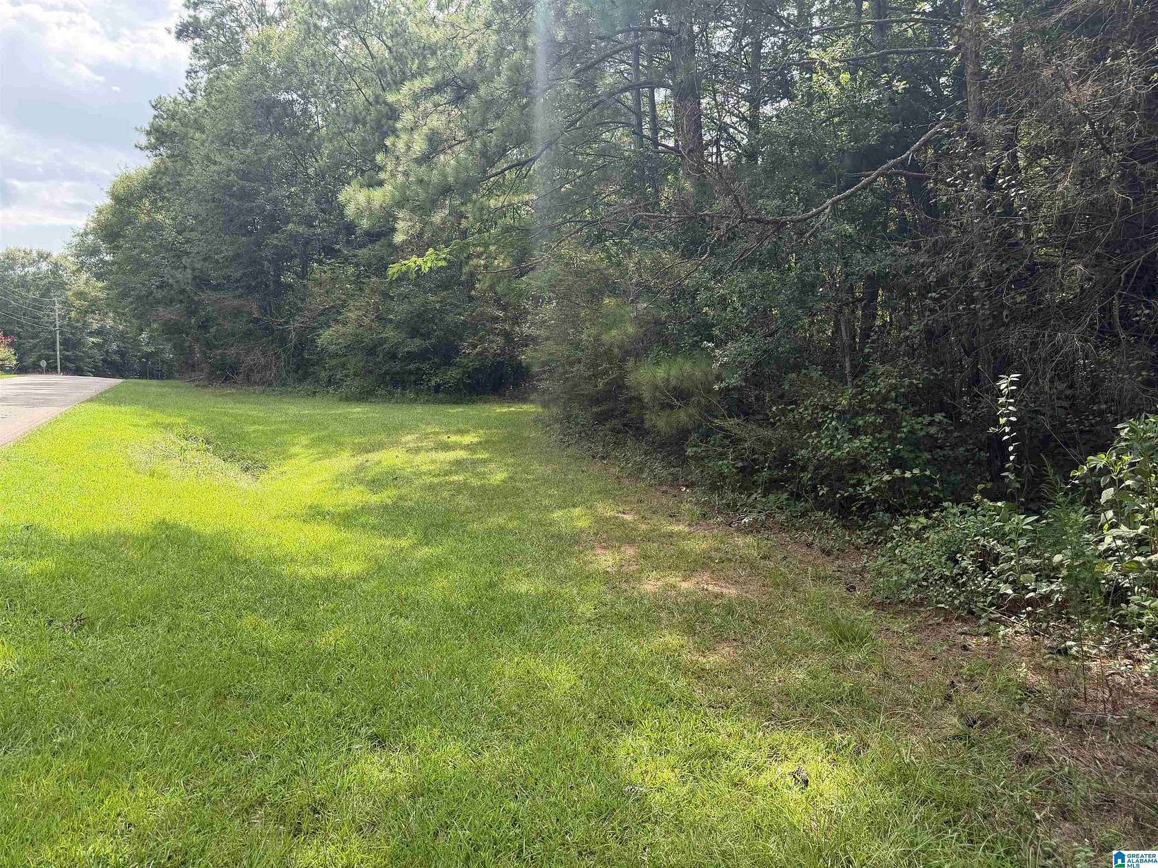 3.55 Acres of Residential Land for Sale in Newell, Alabama