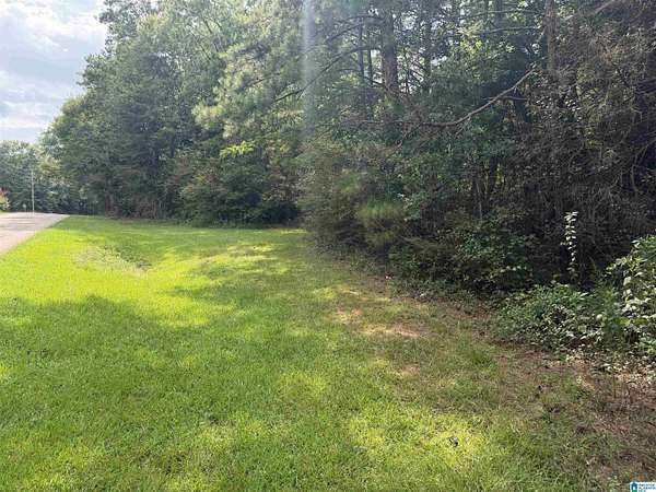 3.55 Acres of Residential Land for Sale in Newell, Alabama