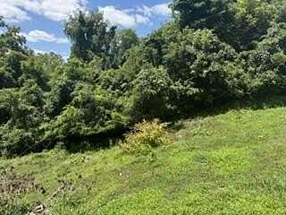 0.52 Acres of Residential Land for Sale in Ashland, Kentucky