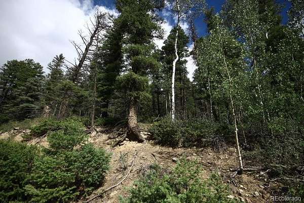 7 Acres of Residential Land for Sale in San Luis, Colorado