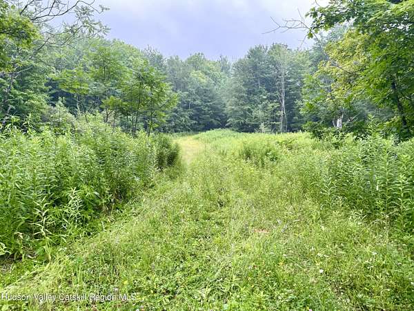 307 Acres of Recreational Land for Sale in Windham, New York