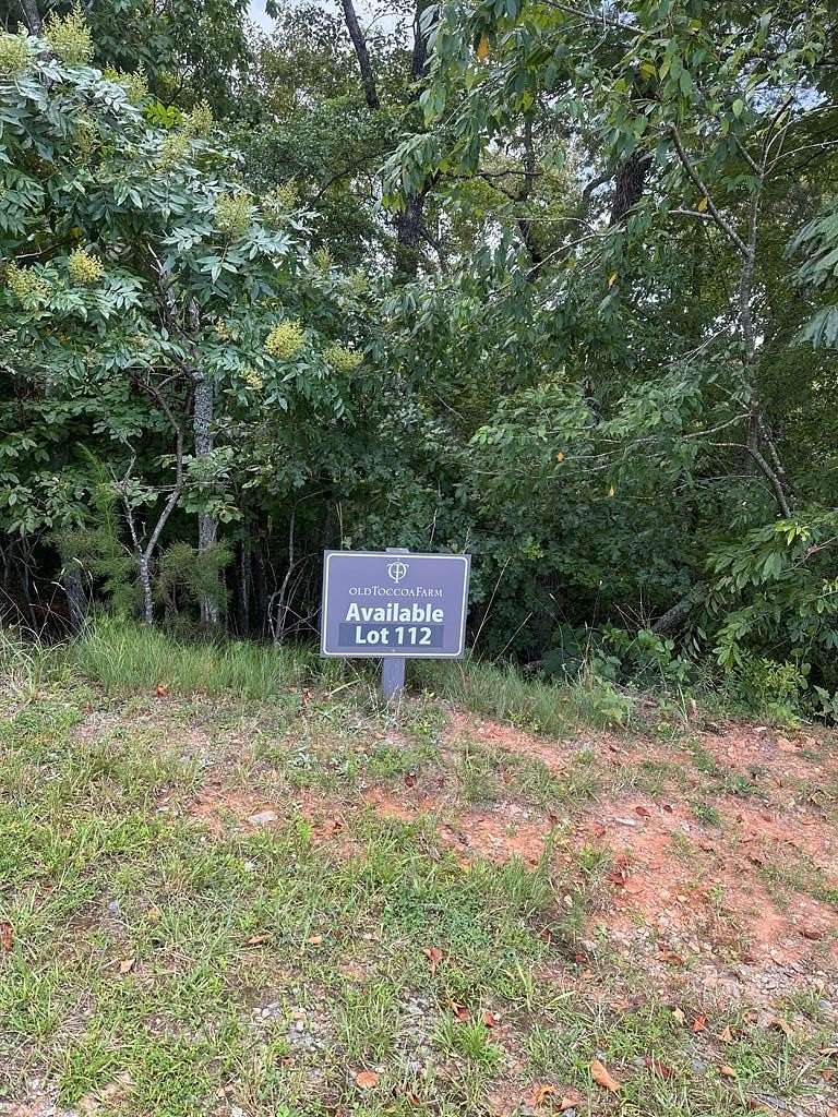 0.52 Acres of Land for Sale in Mineral Bluff, Georgia