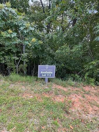 0.52 Acres of Land for Sale in Mineral Bluff, Georgia