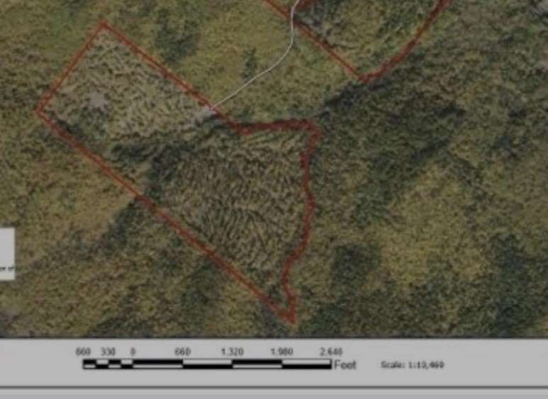 145 Acres of Land for Sale in Moultonborough, New Hampshire