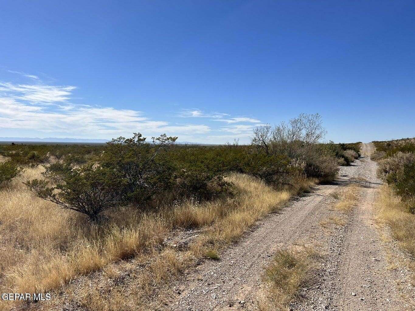 20 Acres of Recreational Land for Sale in Fabens, Texas