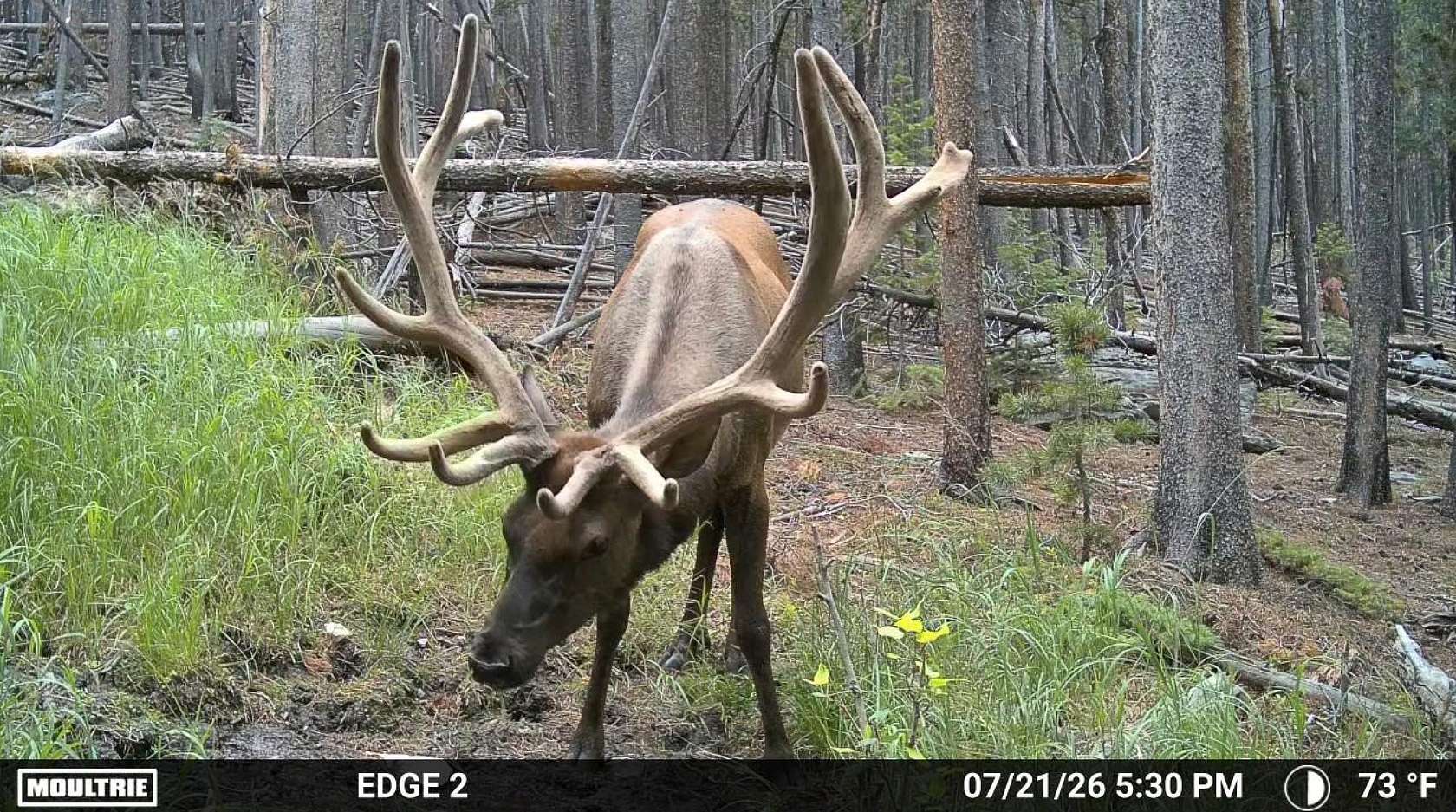 120 Acres of Recreational Land for Sale in Golden, Colorado