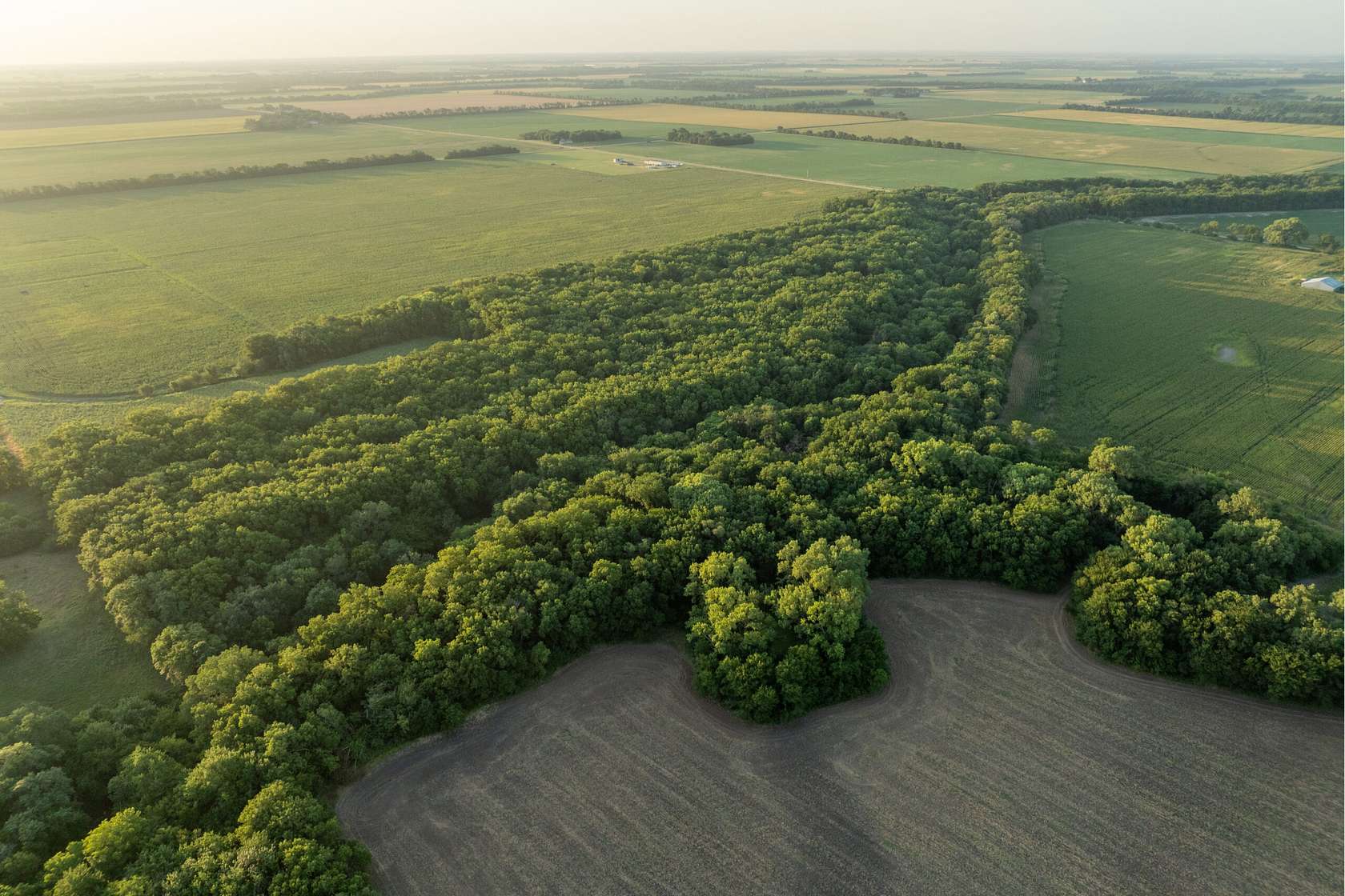 48 Acres of Recreational Land for Sale in Halstead, Kansas