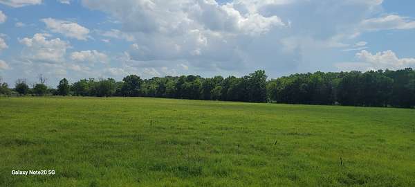 17 Acres of Land for Sale in Chapel Hill, Tennessee