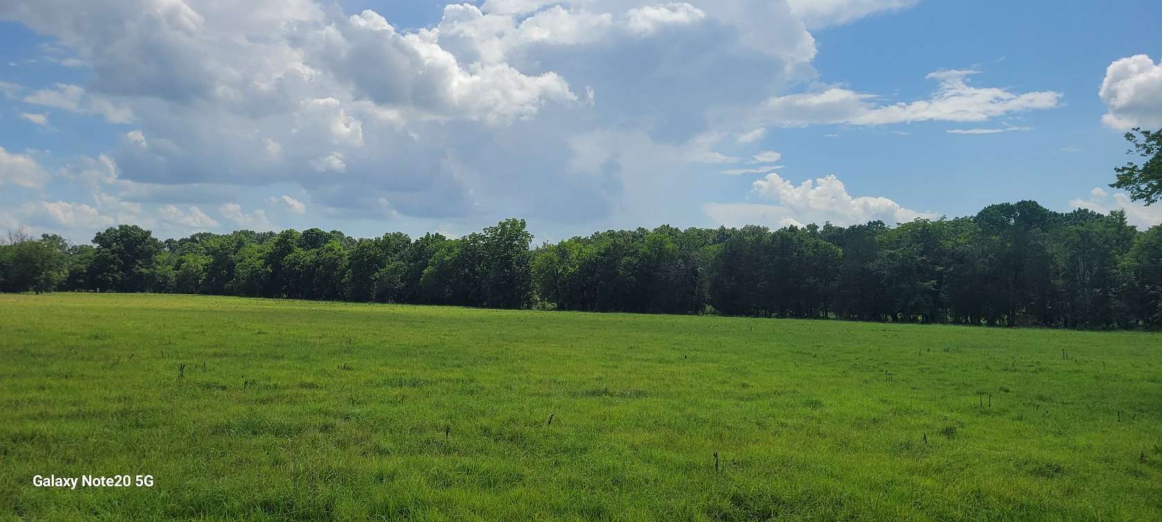 12 Acres of Land for Sale in Chapel Hill, Tennessee