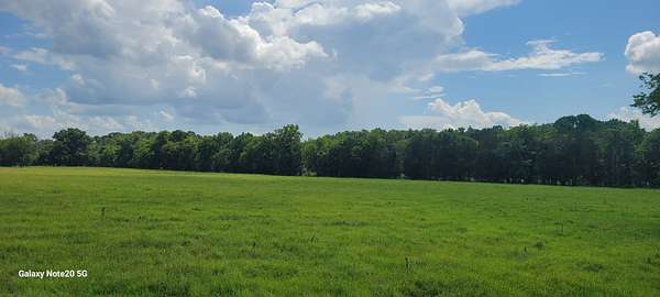 12 Acres of Land for Sale in Chapel Hill, Tennessee