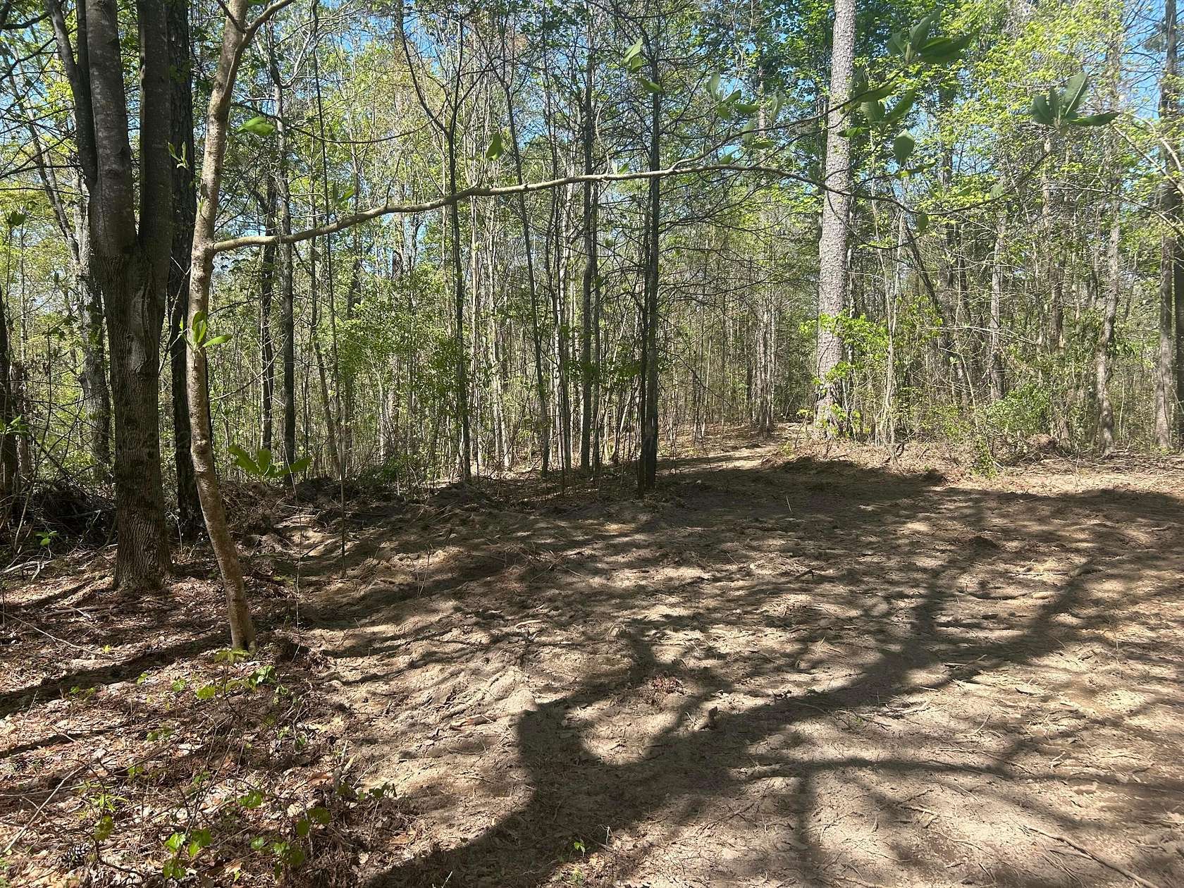 10 Acres of Land for Sale in Double Springs, Alabama