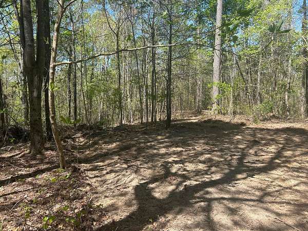 10 Acres of Land for Sale in Double Springs, Alabama