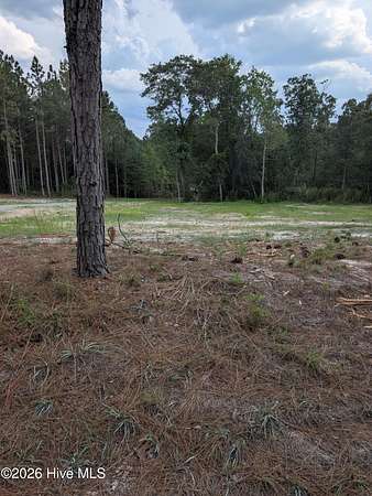 1.7 Acres of Residential Land for Sale in Eagle Springs, North Carolina