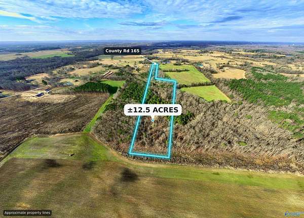 12.5 Acres of Land for Sale in Moulton, Alabama