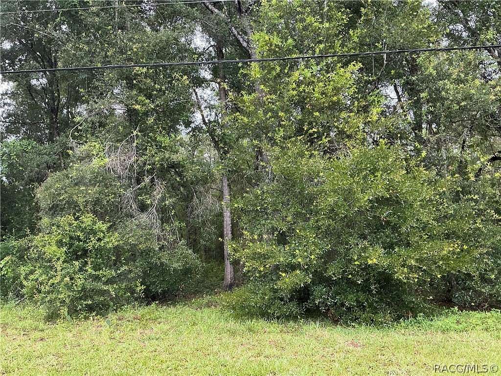 0.96 Acres of Residential Land for Sale in Hernando, Florida