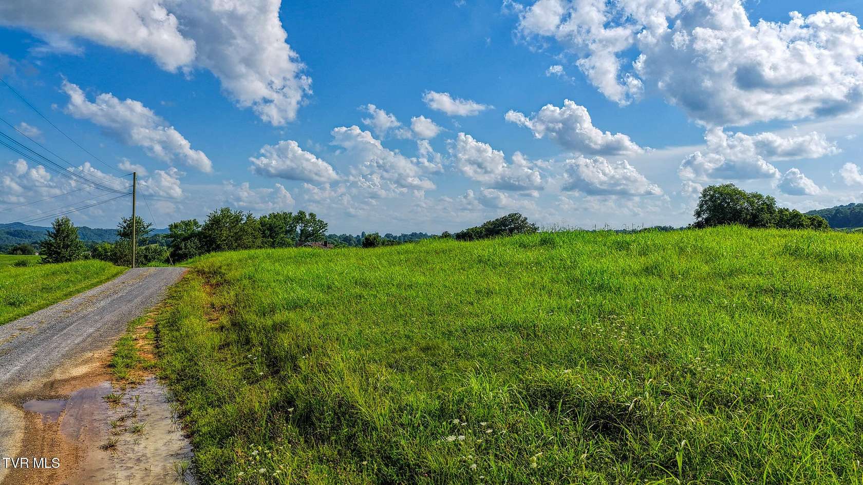 31.3 Acres of Land for Sale in Rogersville, Tennessee