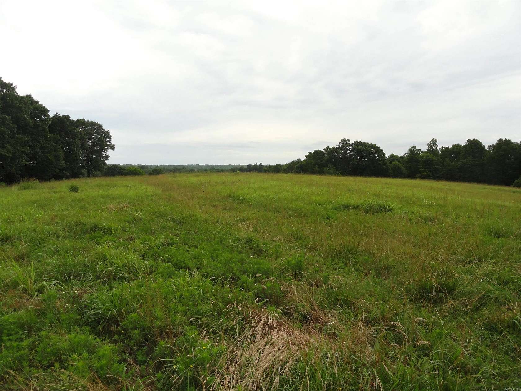 60 Acres of Recreational Land for Sale in St. Joe, Arkansas