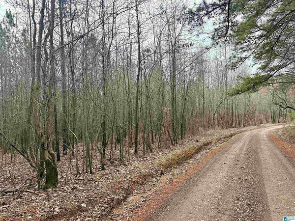 21 Acres of Recreational & Residential Land for Sale in Ranburne, Alabama