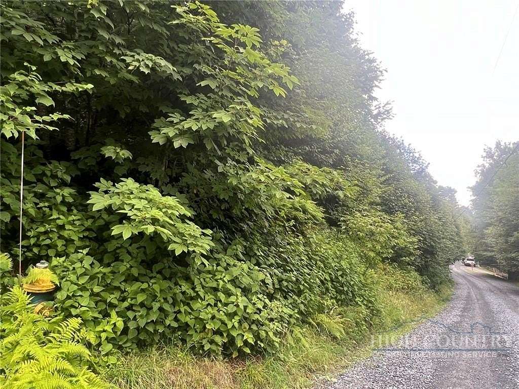 5.13 Acres of Residential Land for Sale in Beech Mountain, North Carolina