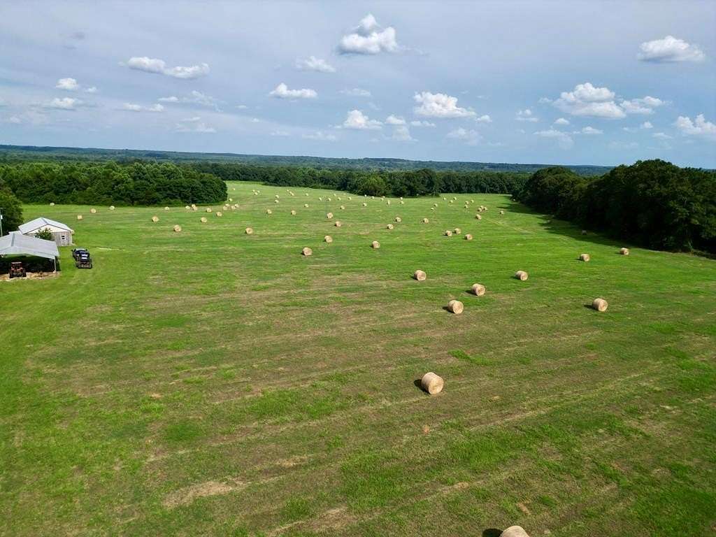 263 Acres of Land for Sale in Banks, Alabama