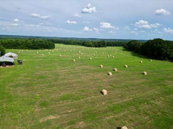 263 Acres of Land for Sale in Banks, Alabama