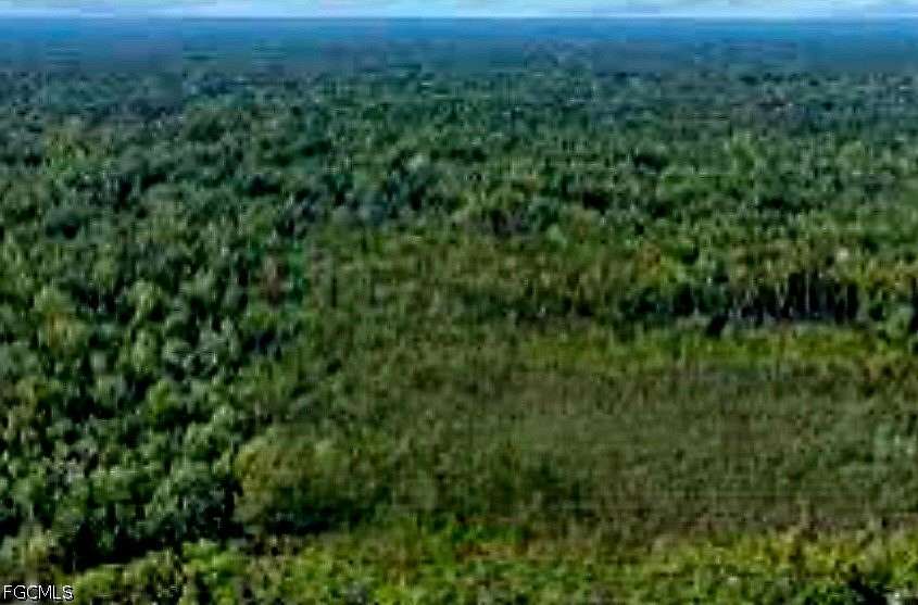 1.25 Acres of Land for Sale in Fort Meade, Florida