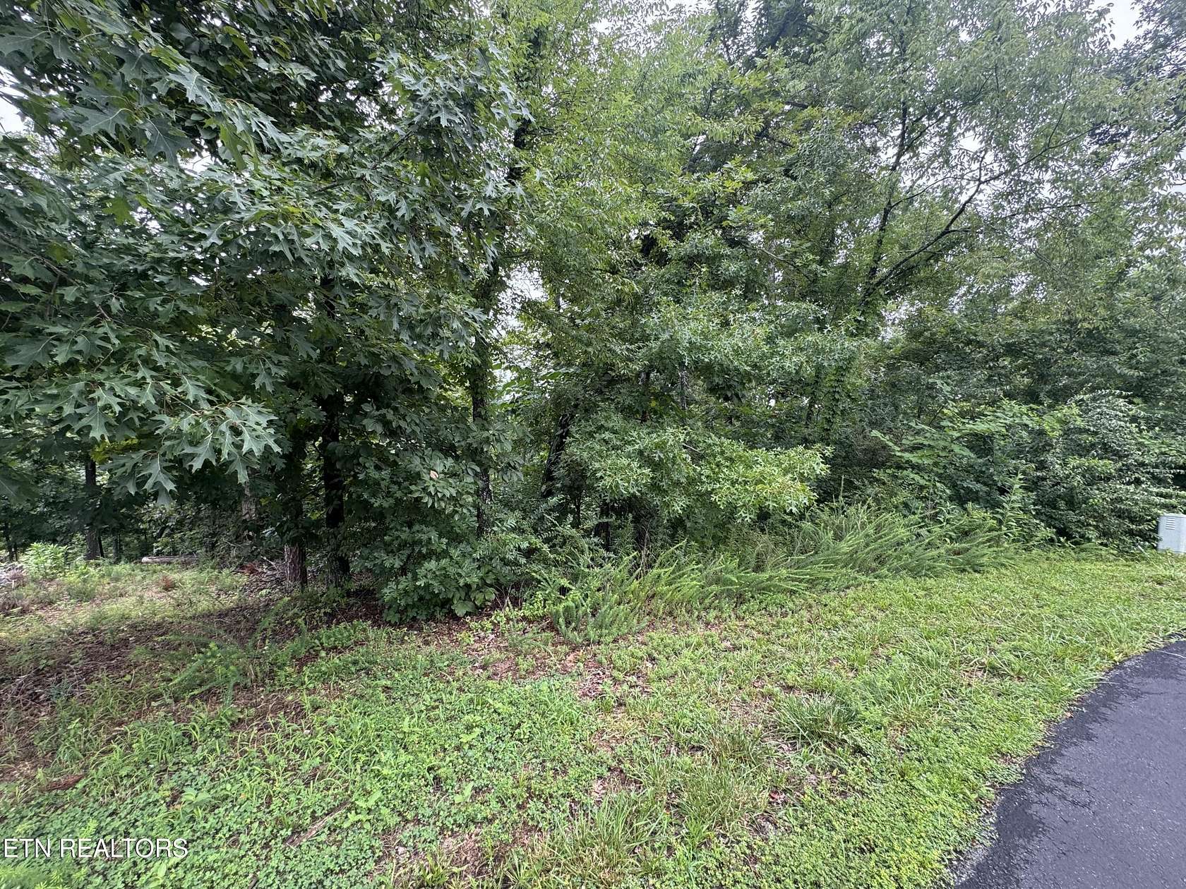 0.36 Acres of Residential Land for Sale in Loudon, Tennessee