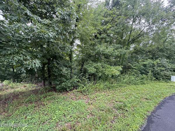 0.36 Acres of Residential Land for Sale in Loudon, Tennessee