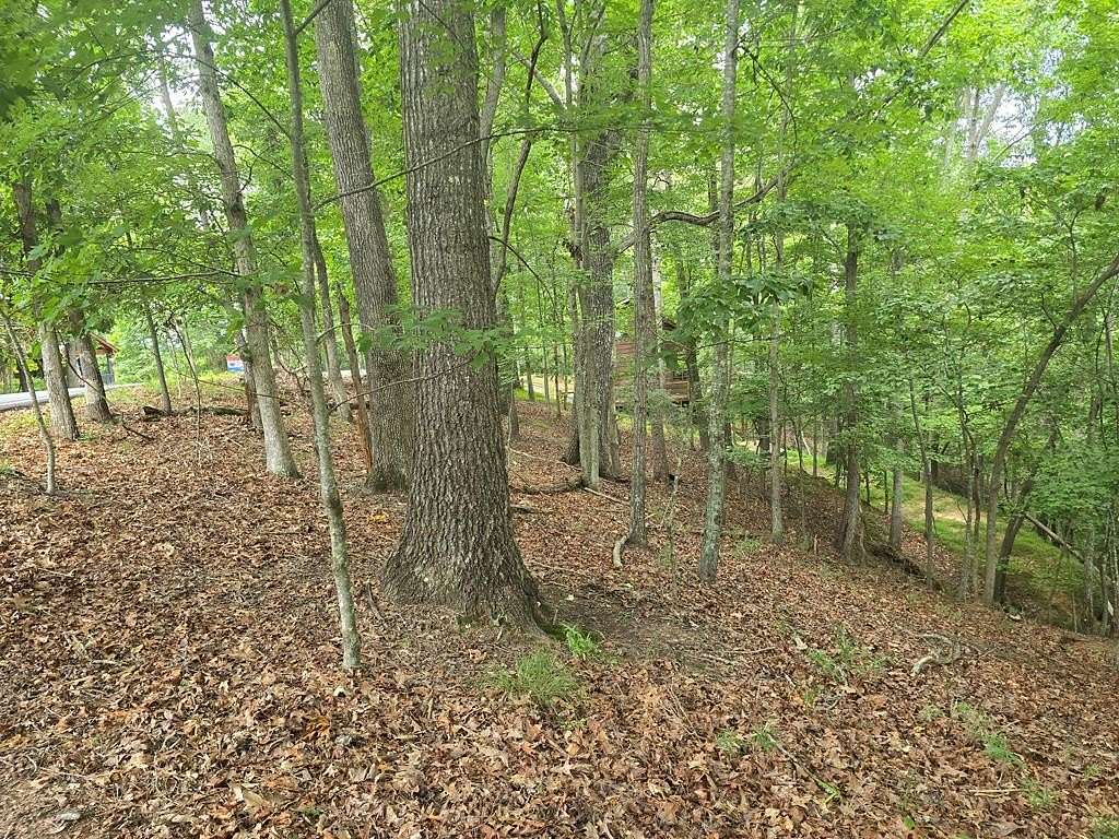 0.51 Acres of Land for Sale in Ellijay, Georgia