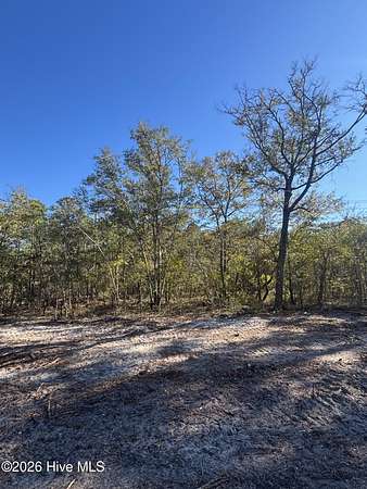 0.2 Acres of Residential Land for Sale in Southport, North Carolina