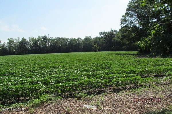 12.3 Acres of Land for Sale in Maxton, North Carolina