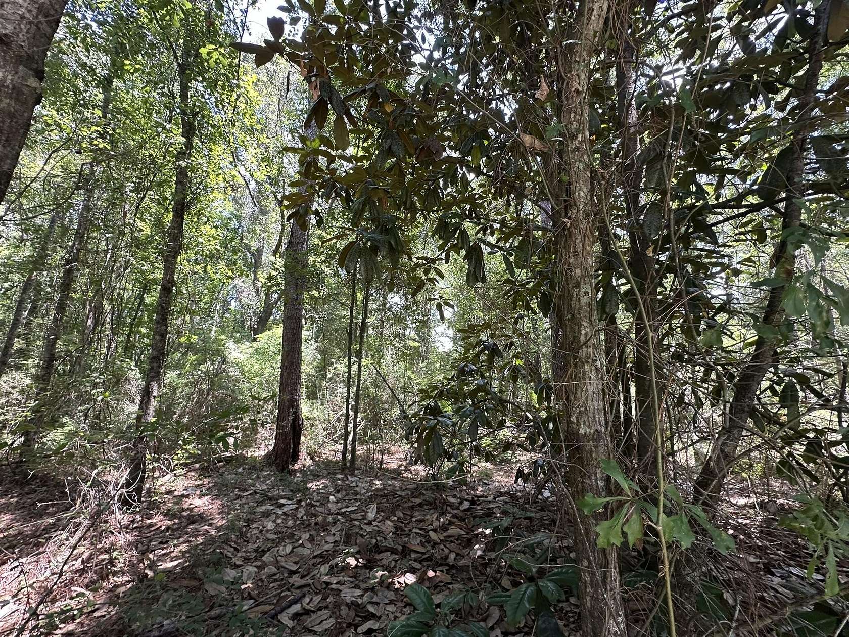 18 Acres of Recreational & Residential Land for Sale in Opp, Alabama