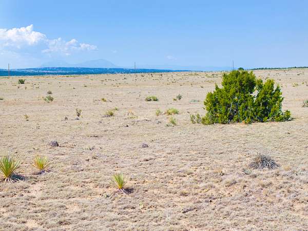 35 Acres of Land for Sale in Avondale, Colorado