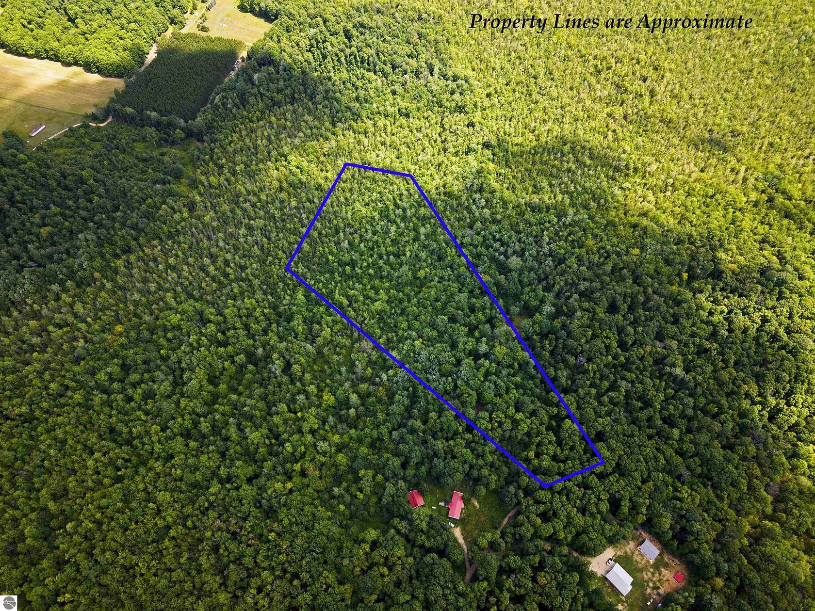 10 Acres of Recreational Land for Sale in Kalkaska, Michigan