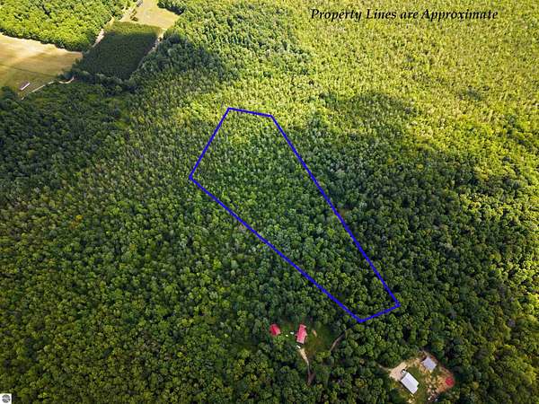10 Acres of Recreational Land for Sale in Kalkaska, Michigan
