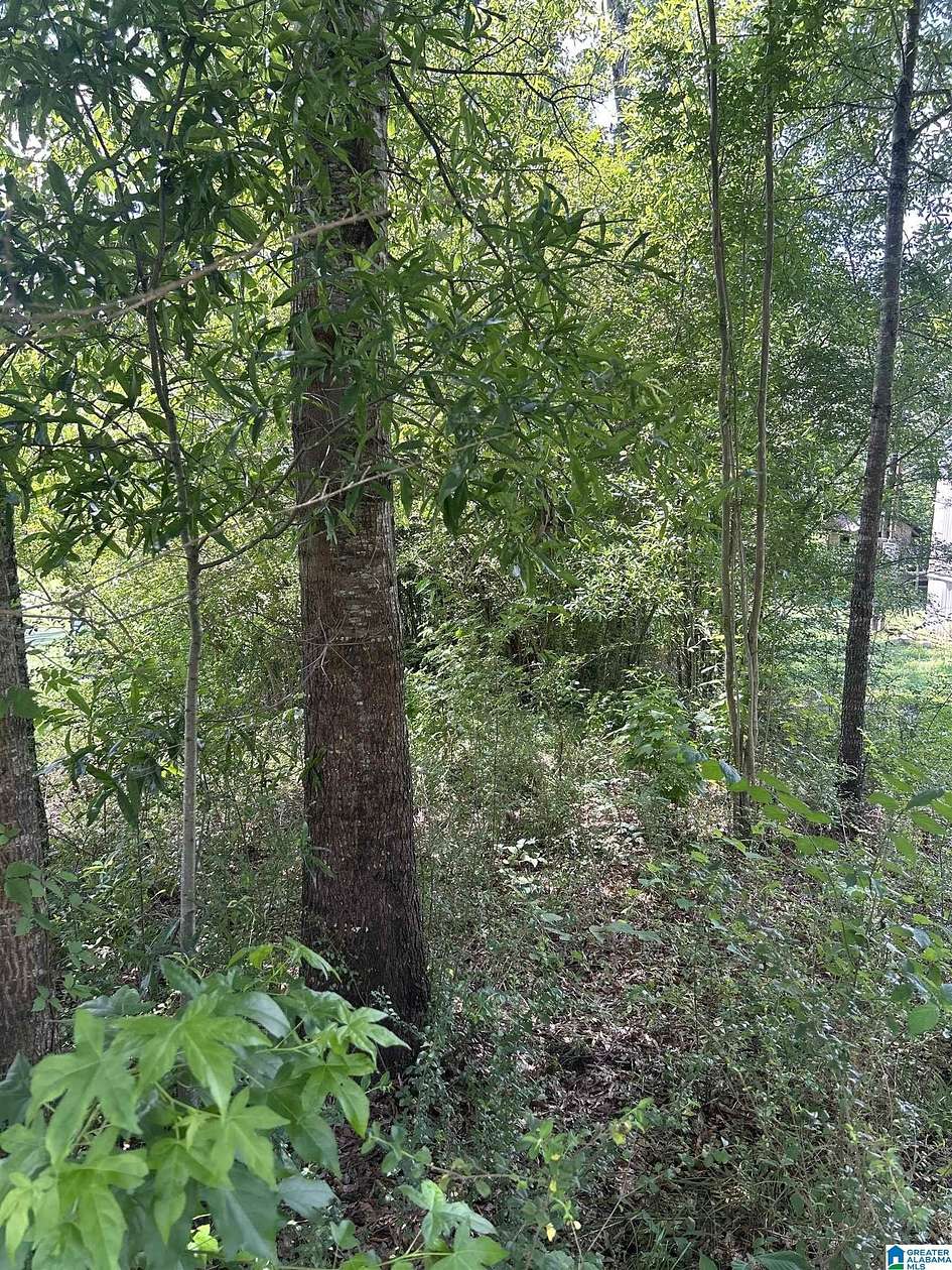 0.7 Acres of Land for Sale in Sylacauga, Alabama