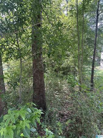 0.7 Acres of Land for Sale in Sylacauga, Alabama