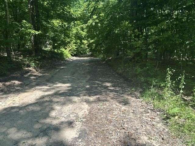 10 Acres of Recreational Land for Sale in Pellston, Michigan