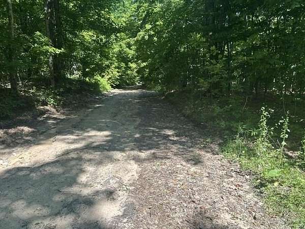 10 Acres of Recreational Land for Sale in Pellston, Michigan