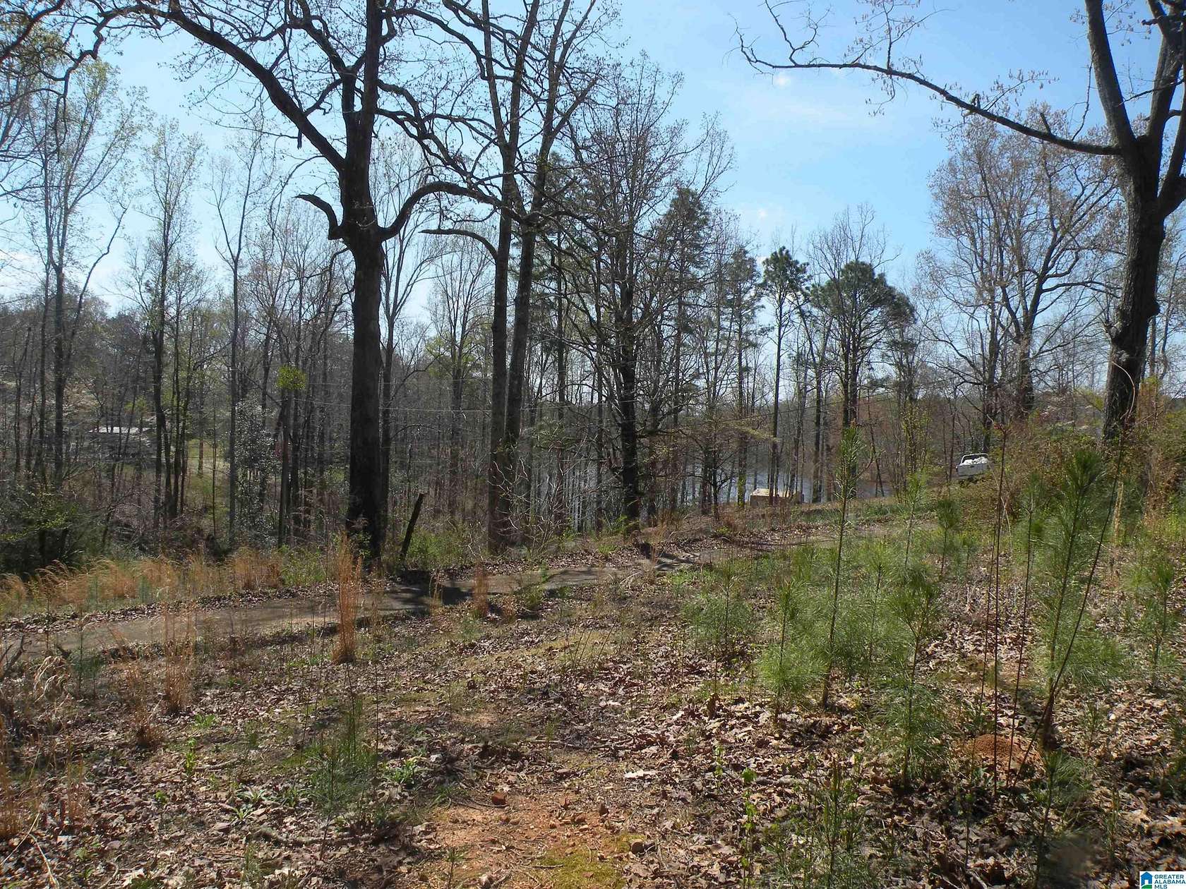 1 Acre of Residential Land for Sale in Sylacauga, Alabama