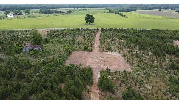 12.5 Acres of Land for Sale in Blenheim, South Carolina