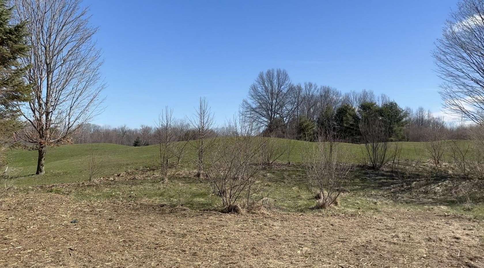 0.41 Acres of Residential Land for Sale in New Buffalo, Michigan