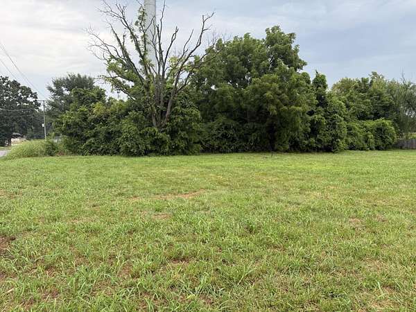 0.4 Acres of Land for Sale in Ozark, Missouri