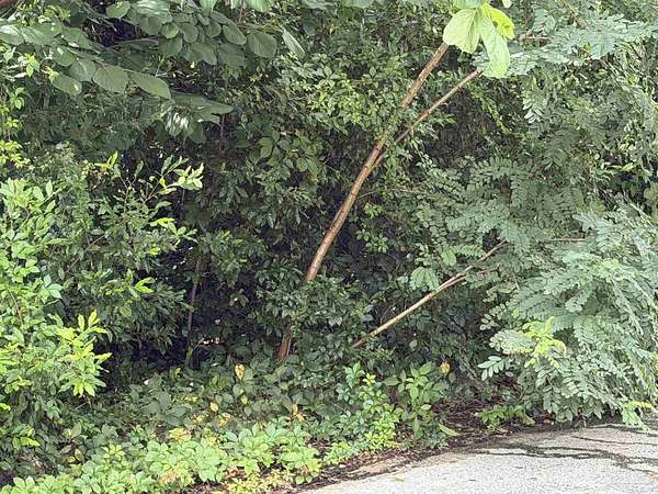 0.38 Acres of Residential Land for Sale in Pensacola, Florida