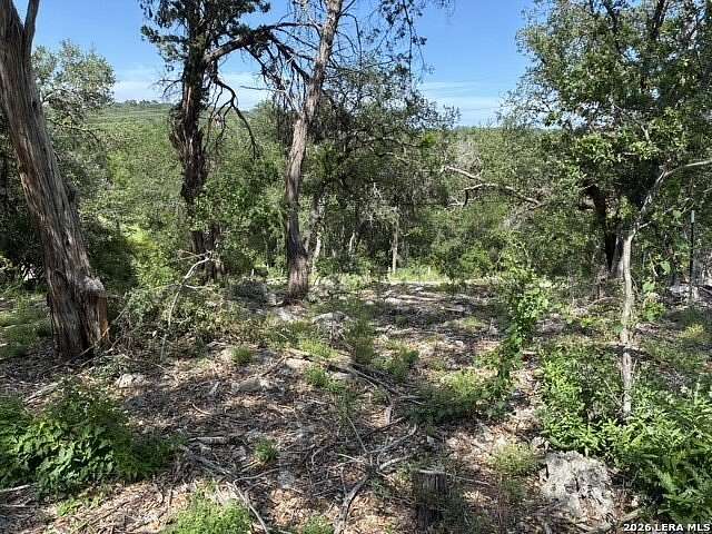 0.15 Acres of Residential Land for Sale in Spring Branch, Texas