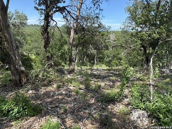 0.15 Acres of Residential Land for Sale in Spring Branch, Texas