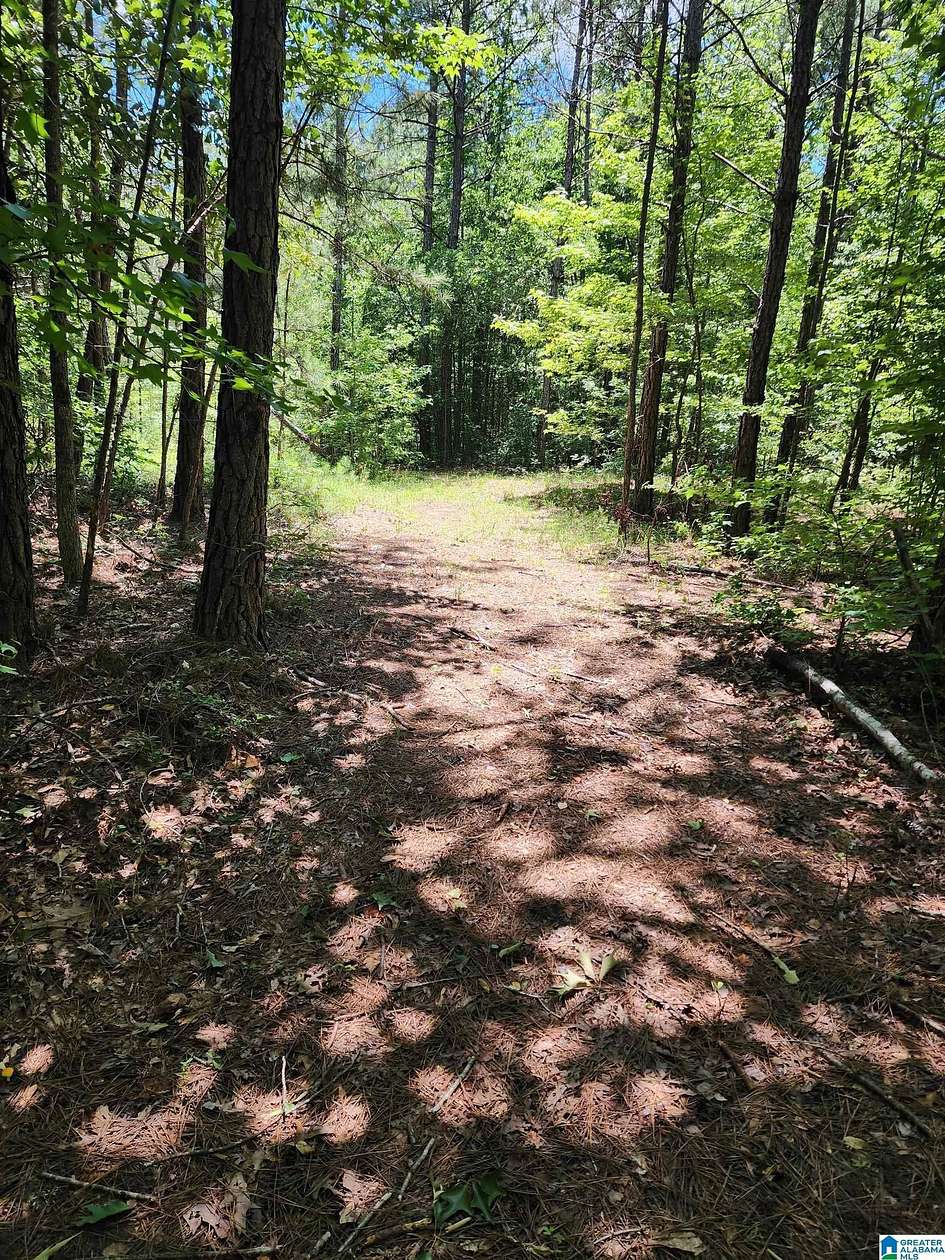 39 Acres of Recreational & Residential Land for Sale in Wadley, Alabama