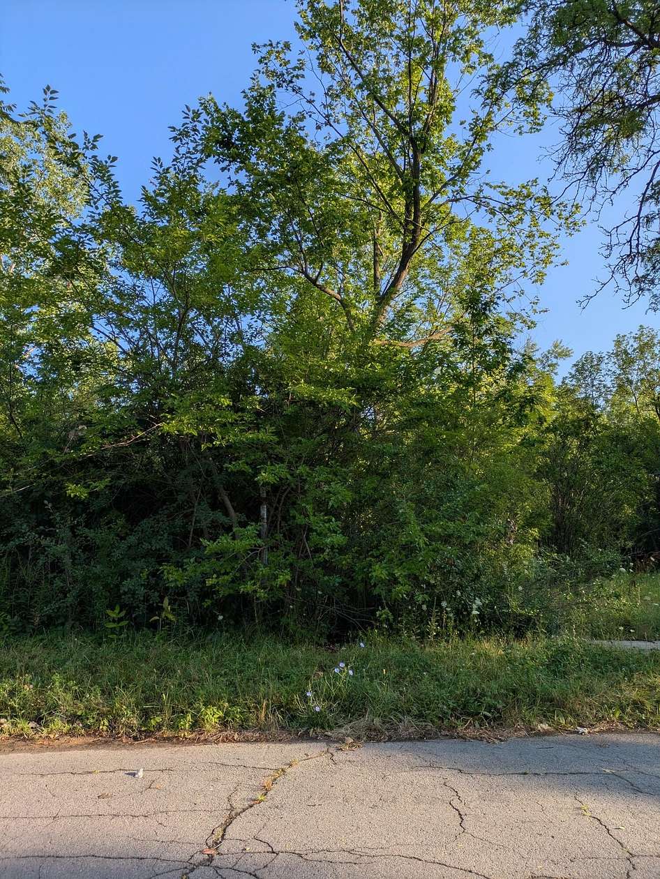 0.07 Acres of Land for Sale in Detroit, Michigan