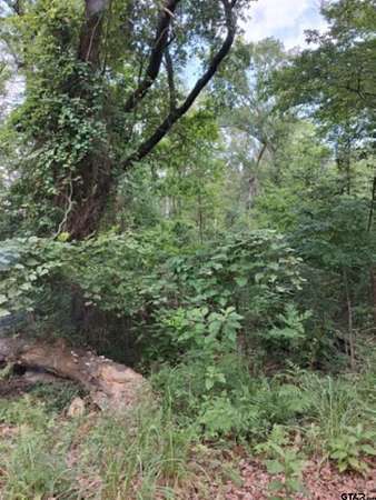 0.88 Acres of Residential Land for Sale in Murchison, Texas